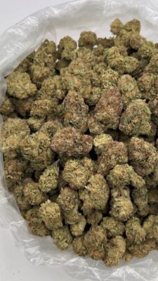 White Truffle Strain