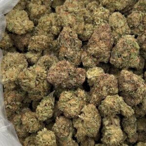 White Truffle Strain