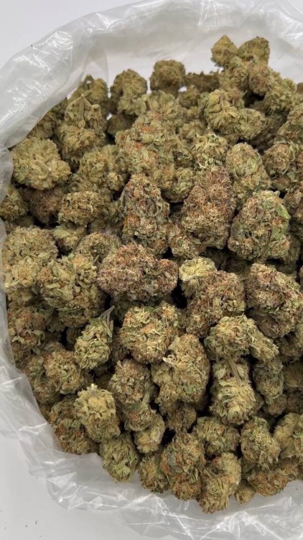 White Truffle Strain
