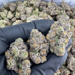Gas Face Strain