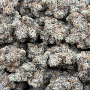 Herbe premium