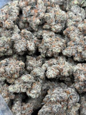 Herbe premium