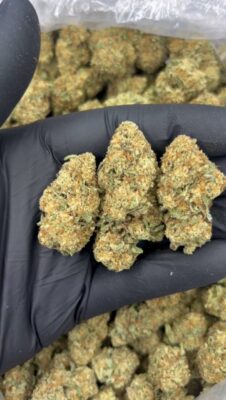 cali weed