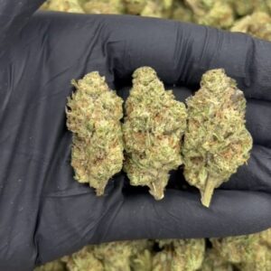 cannabis médical