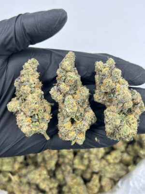 herbe de cannabis a vendre