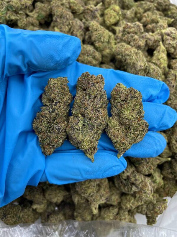 acheter une weed inédite