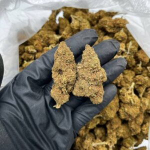 souche indica fruitée