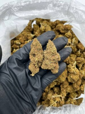 souche indica fruitée