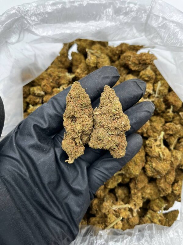 souche indica fruitée