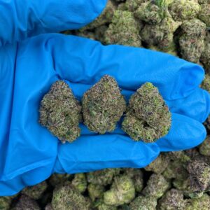 Acheter cannabis sucré