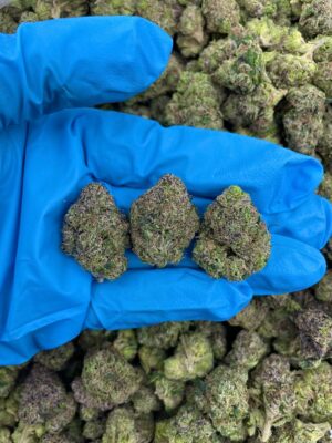 Acheter cannabis sucré