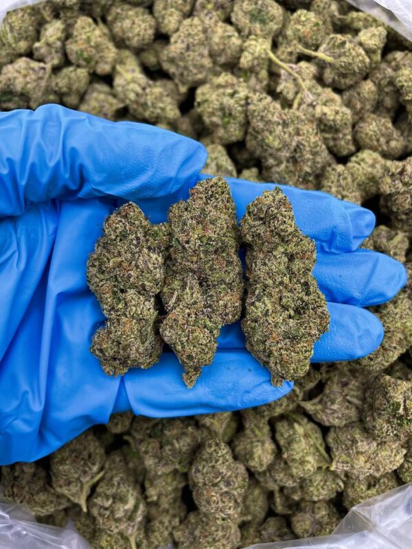 acheter cannabis exotique