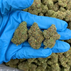 Acheter cannabis gourmand