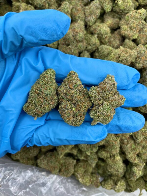 Acheter cannabis gourmand