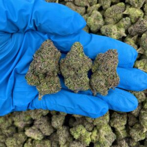 Acheter cannabis savoureux