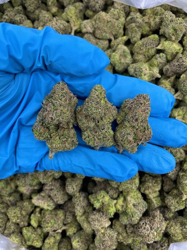 Acheter cannabis savoureux