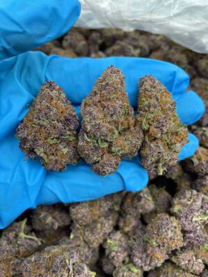 Acheter cannabis premium