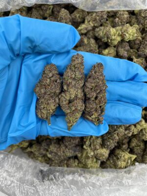 Acheter cannabis relaxant