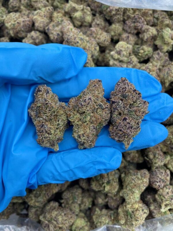 Friandises THC envoûtantes