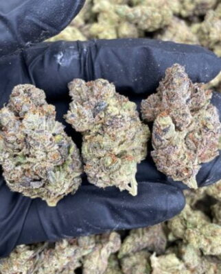  nouvelle variété de cannabis