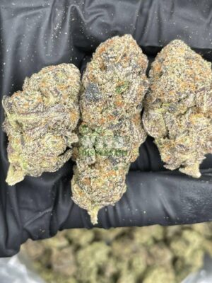 Gorilla Glue