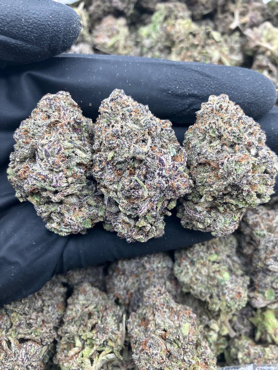 acheter fleur CBD