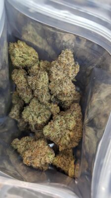  nouveau cannabis premium