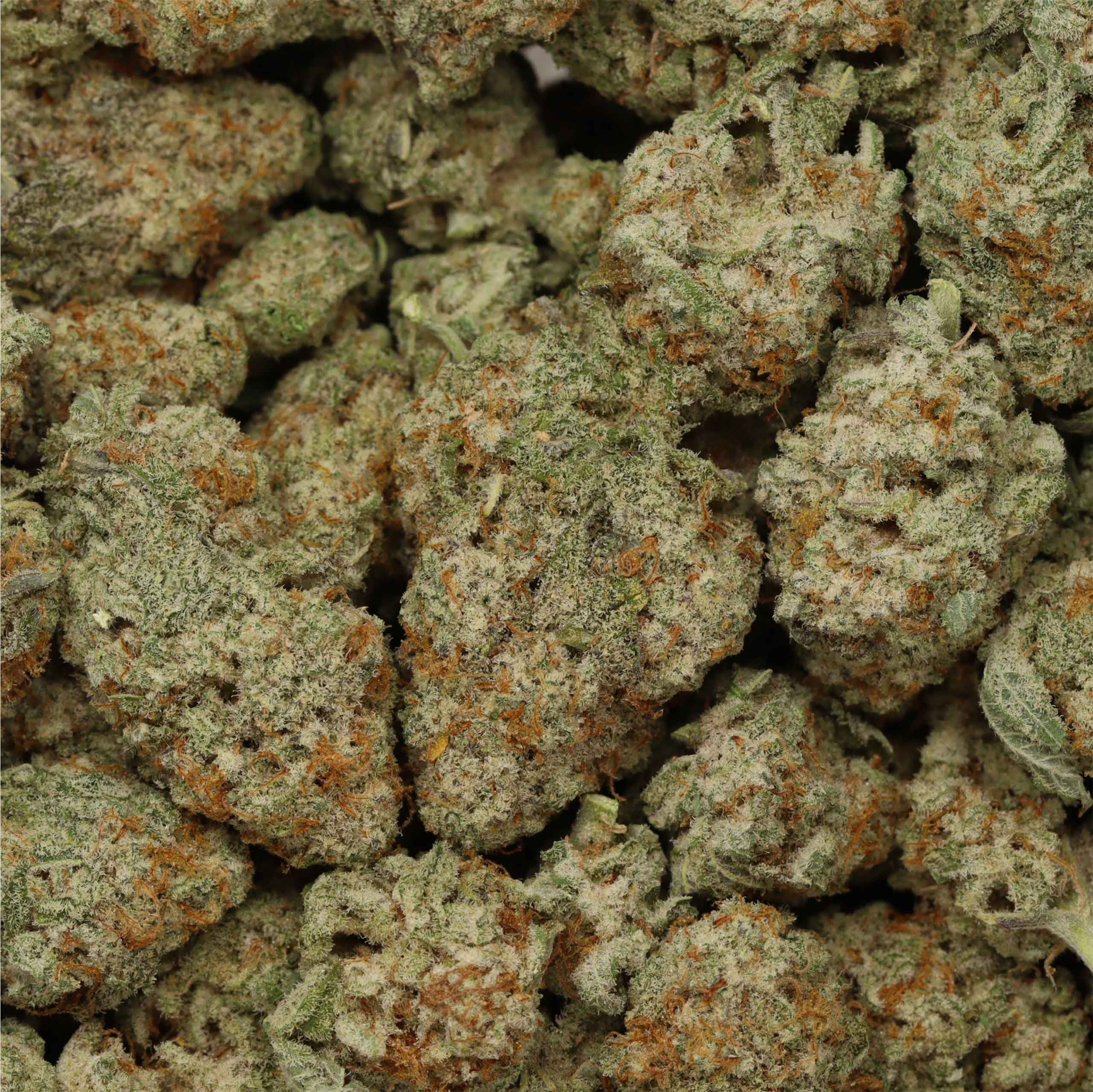 Nouveau trésor cannabis à acheter
