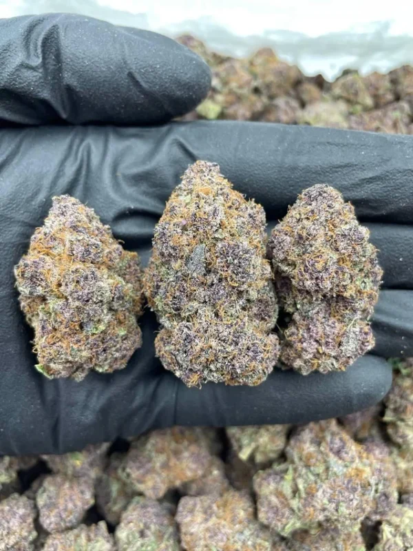 nouveau cannabis exotique