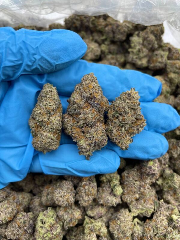 Acheter cannabis délicat