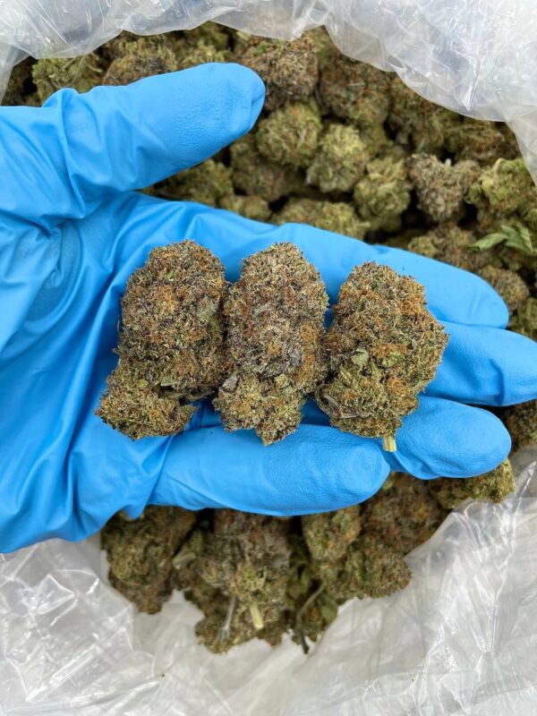 Acheter cannabis premium