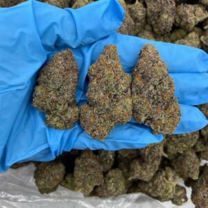 À vendre cannabis vibrant