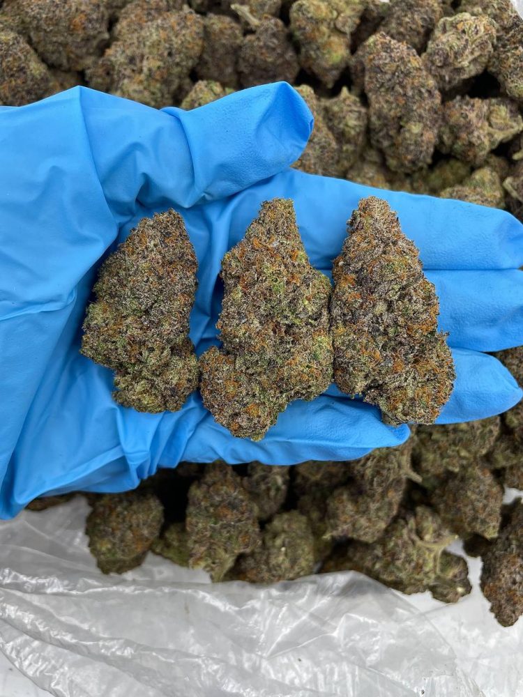 À vendre cannabis vibrant