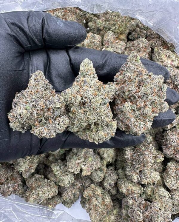 nouveau cannabis relaxant