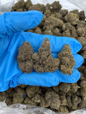 Acheter cannabis euphorisant 