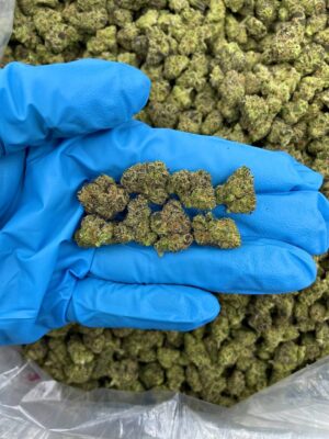 Acheter cannabis lumineux