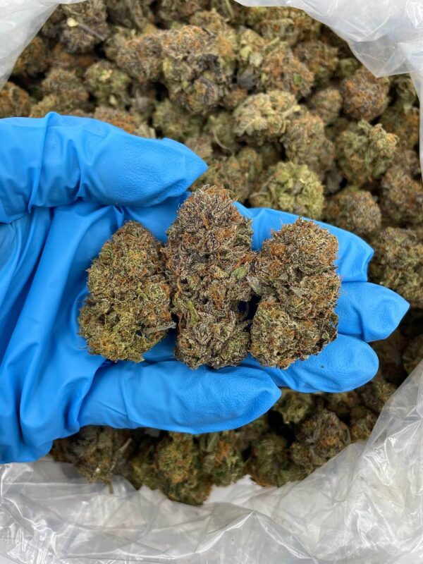 Acheter cannabis luxueux