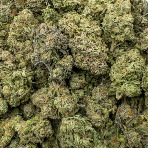 Achetez une douceur indica puissante